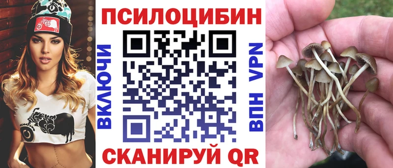где купить наркоту  Лаишево  Галлюциногенные грибы Psilocybine cubensis 